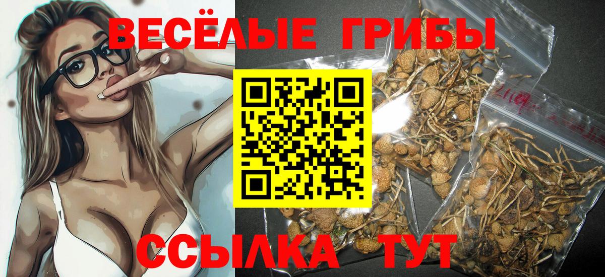 Галлюциногенные грибы GOLDEN TEACHER Строитель