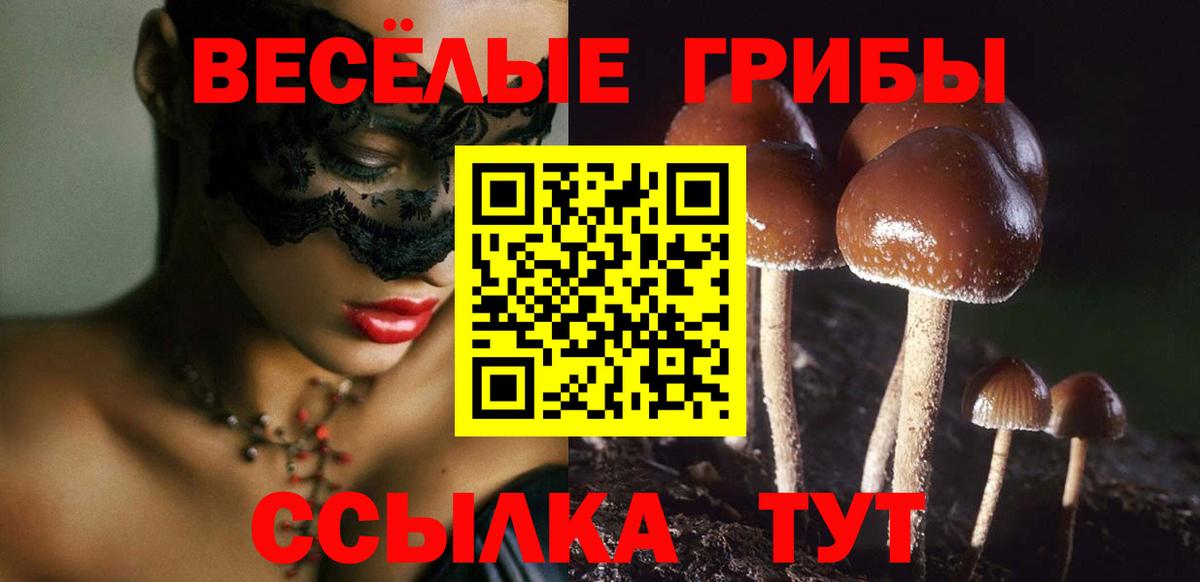 Строитель  Галлюциногенные грибы Cubensis  Вход с VPN  Псилоцибиновые грибы Psilocybine cubensis 